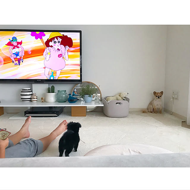 haruhinaさんの実例写真