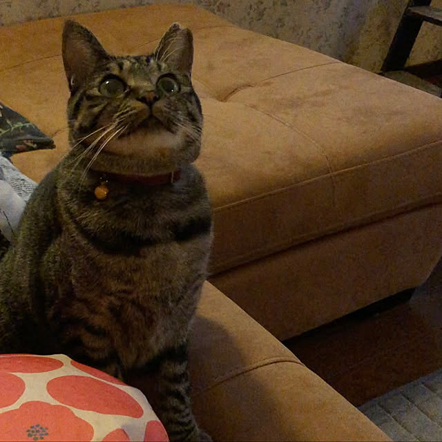r-mishさんの実例写真