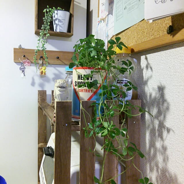 aiさんの実例写真