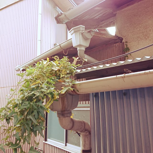 yahさんの実例写真