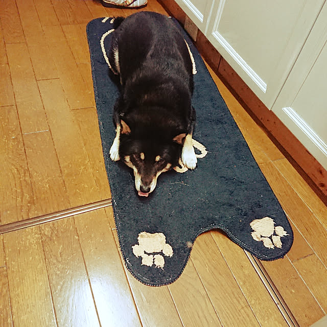 tsutawarimasuさんの実例写真