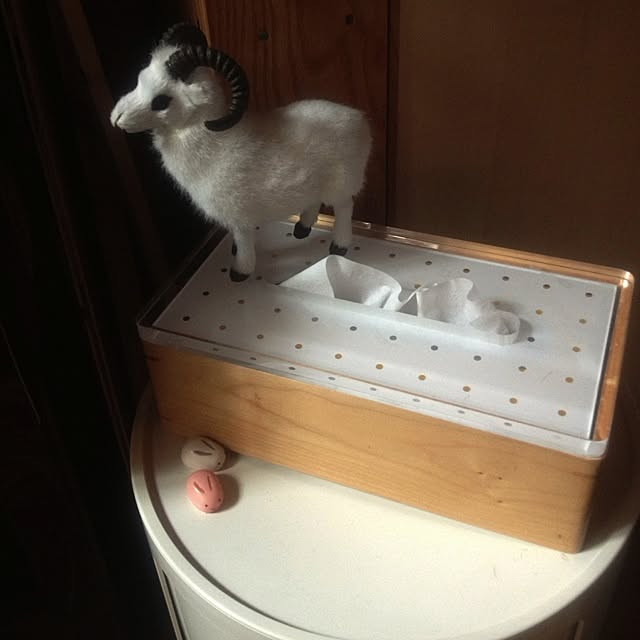 kaさんの実例写真