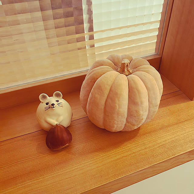 Momokoさんの実例写真