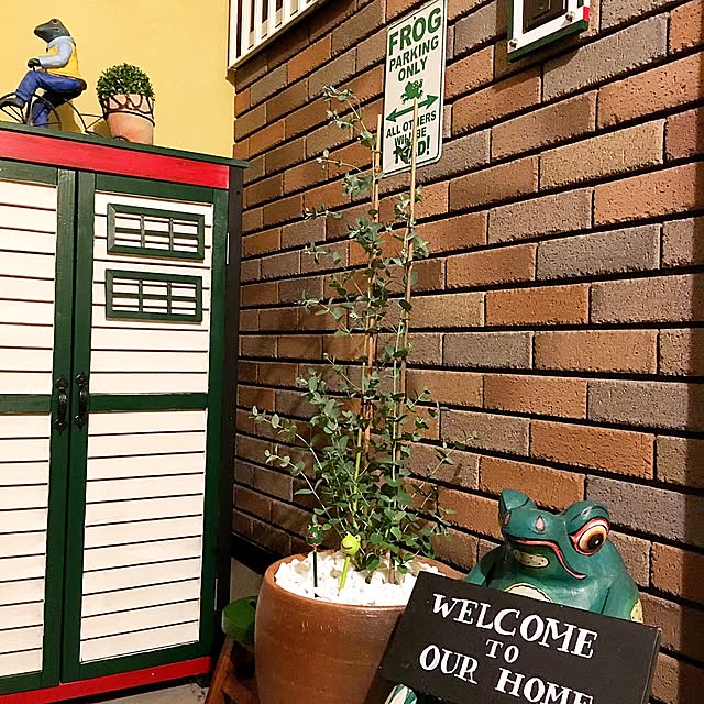 kaerucoさんの実例写真