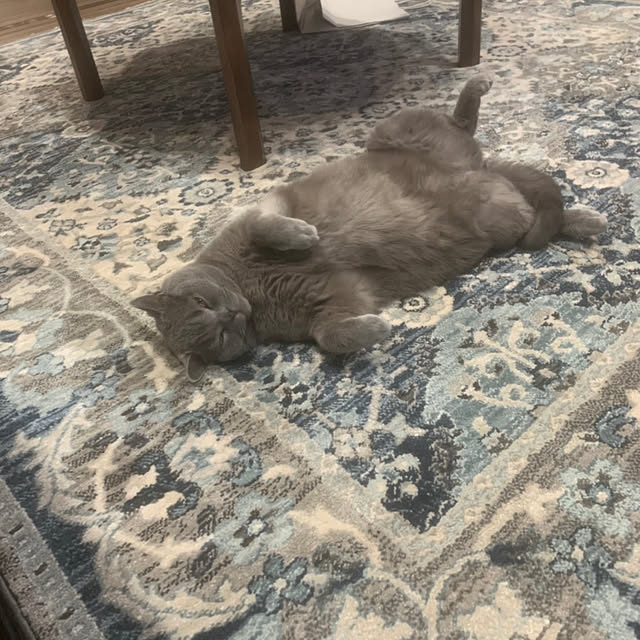 emabokさんの実例写真