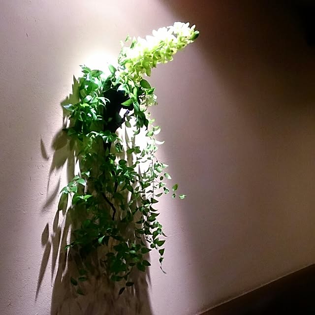 Gravityさんの実例写真