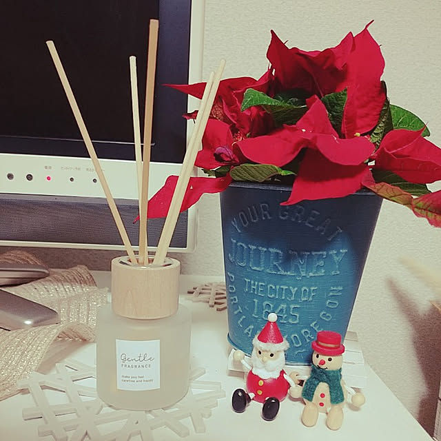 棚/クリスマス/一人暮らし/観葉植物のインテリア実例 - 2022-12-04 08:47:10