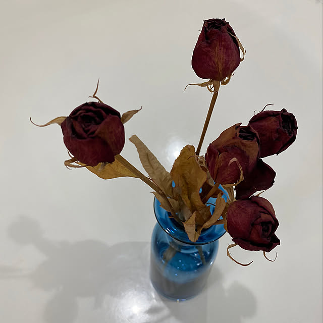 tamaさんの実例写真