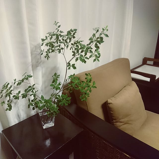 noeさんの実例写真