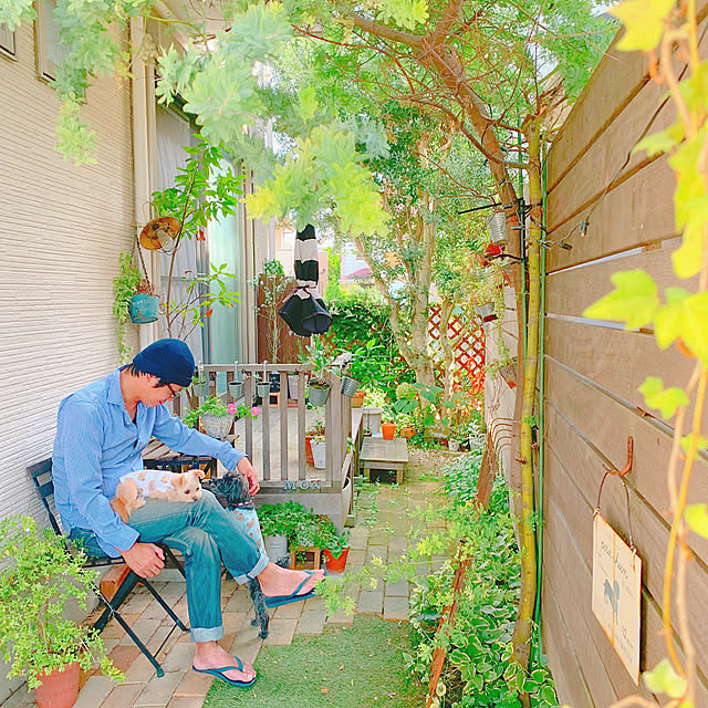risaさんの実例写真