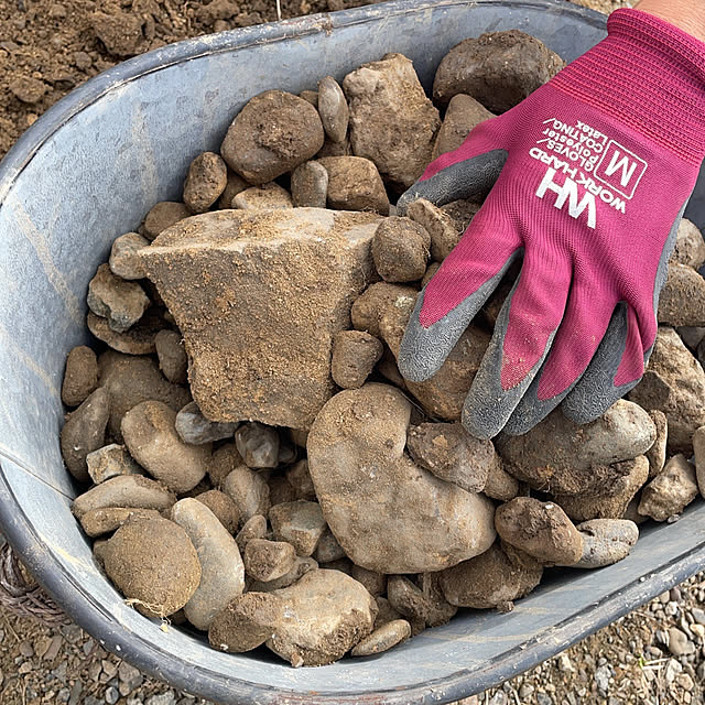 moto_nyaiderさんの部屋