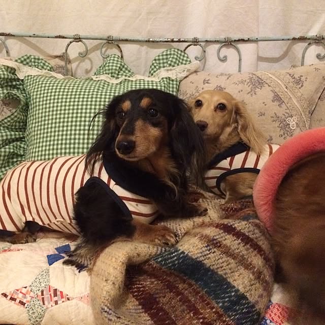 yukoさんの実例写真
