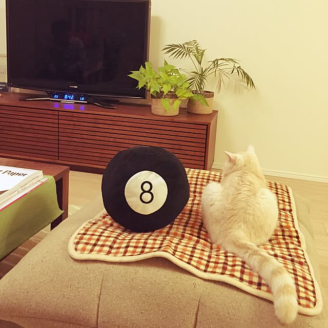 y.k.0123さんの実例写真