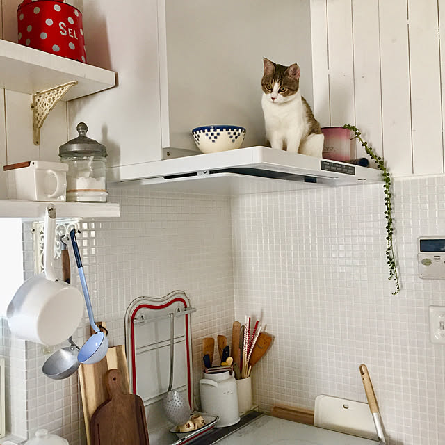 rooneekさんの実例写真