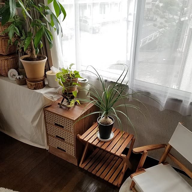 midoriさんの部屋