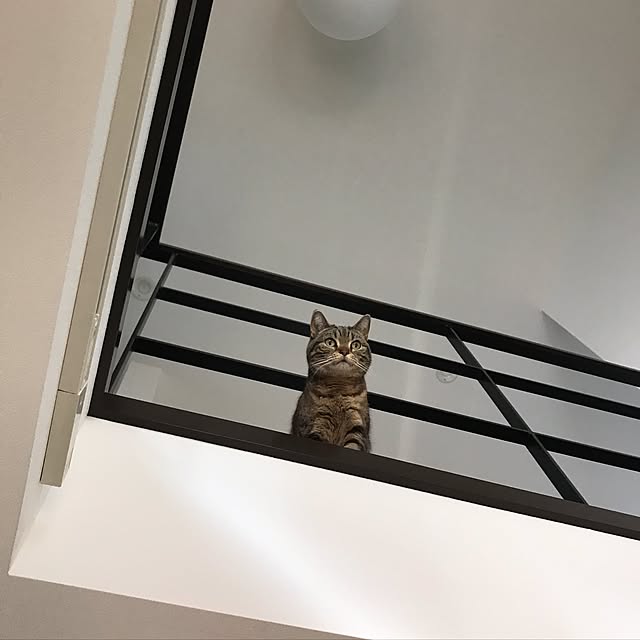 kaedeさんの実例写真
