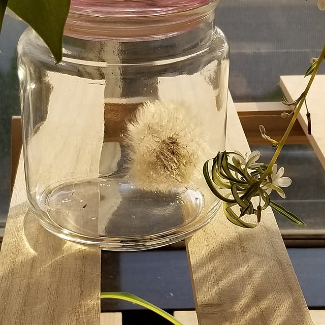 midoriさんの部屋