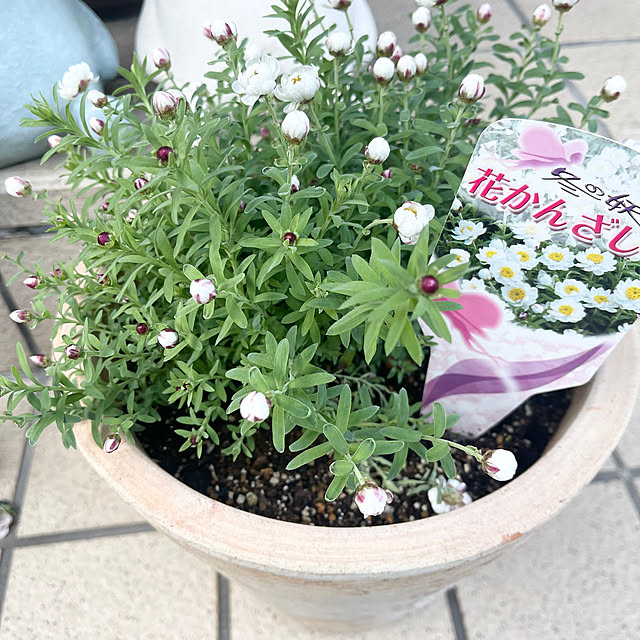 chikaさんの実例写真