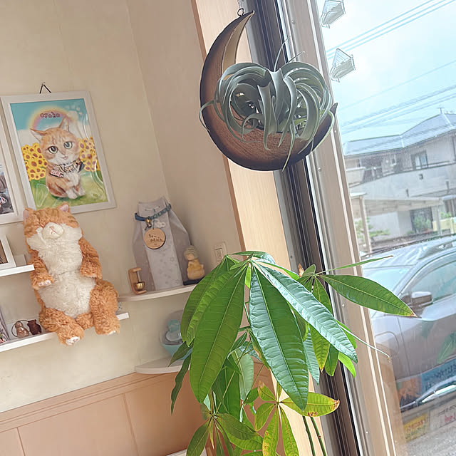 mama1210さんの実例写真