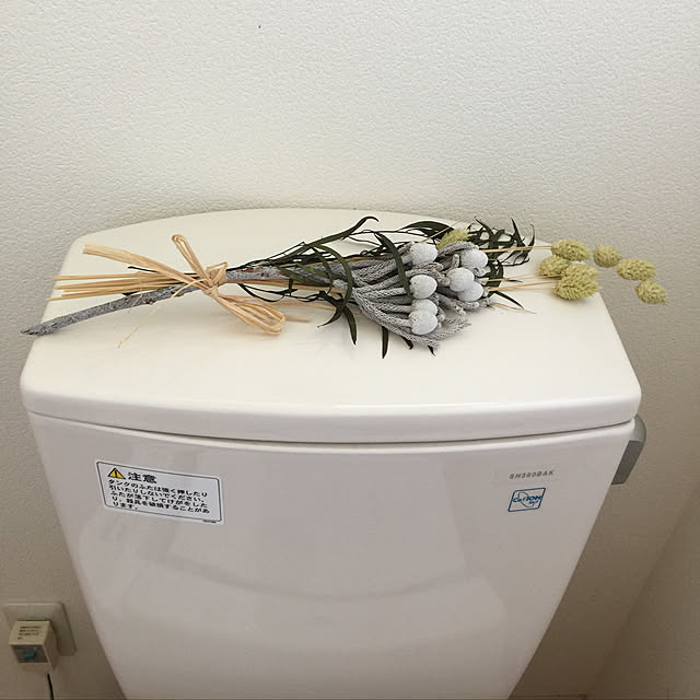 Enjuさんの実例写真