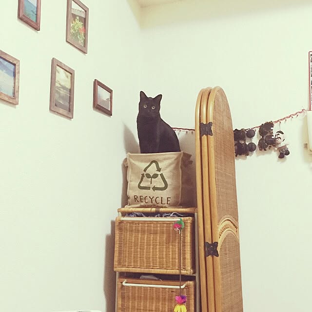 yumさんの実例写真