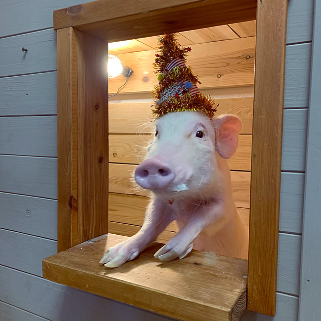 UGさんの実例写真