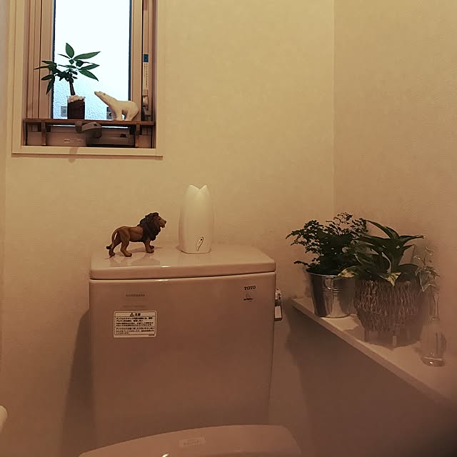 naoさんの実例写真