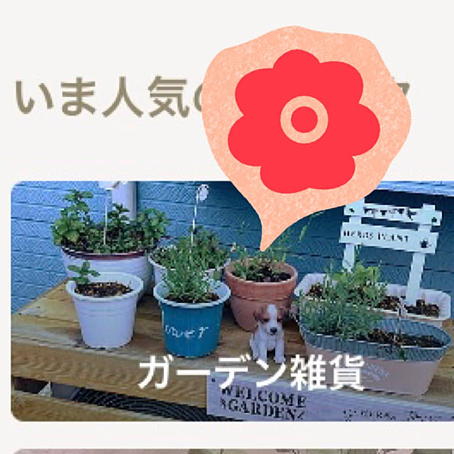 CoCo0617さんの実例写真