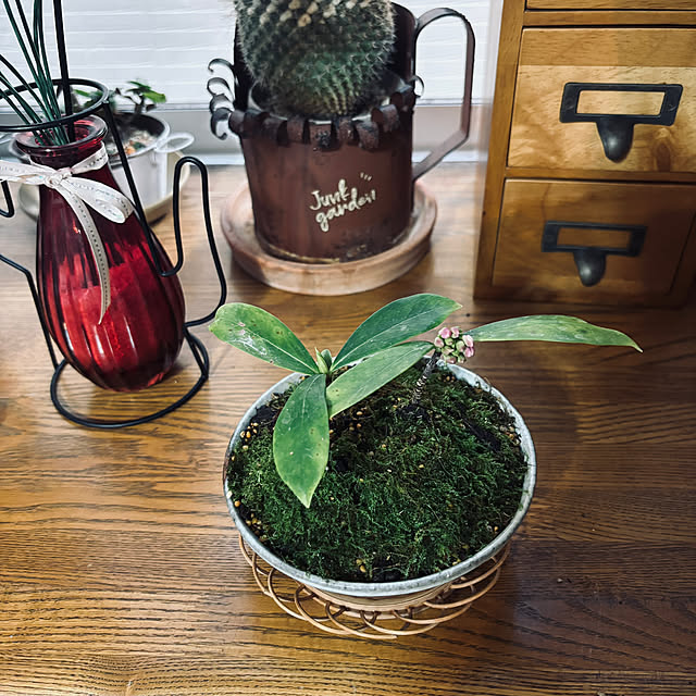 chIoeさんの部屋