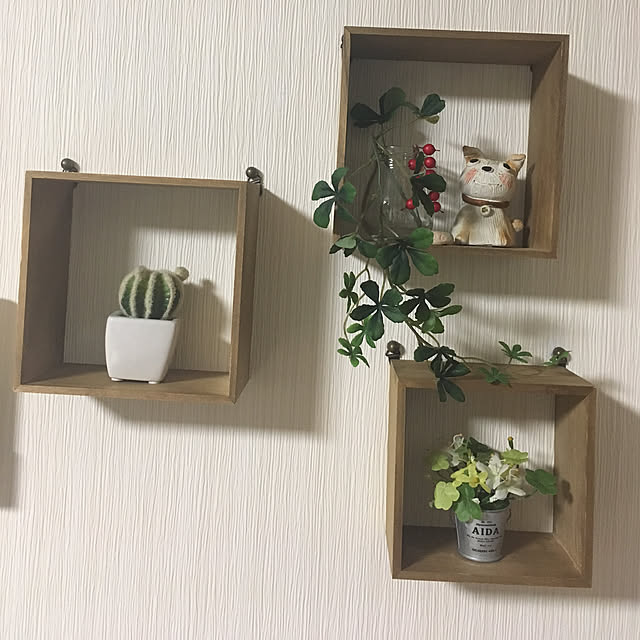momokaさんの実例写真