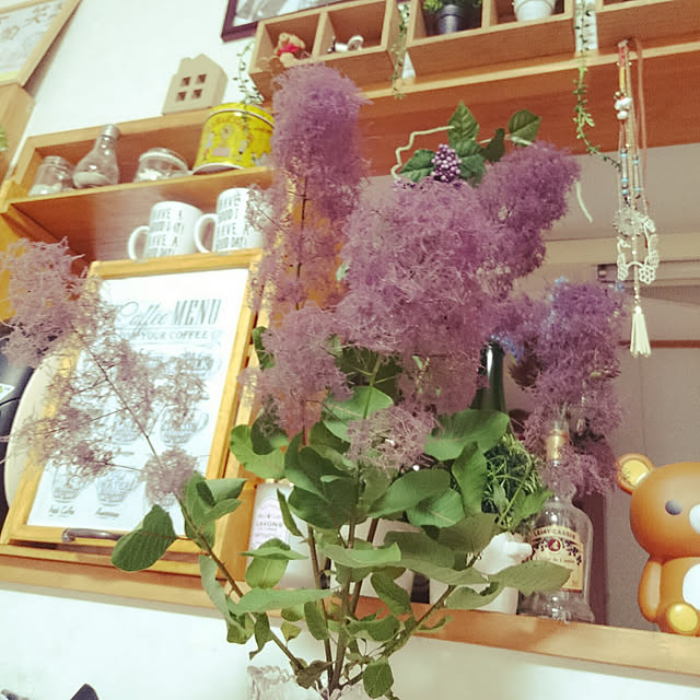 kao.kaoさんの実例写真