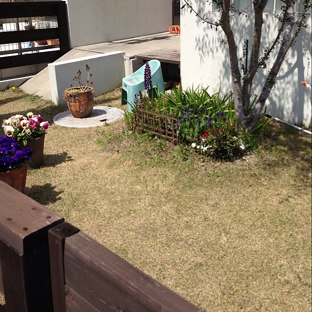 chiekoさんの実例写真