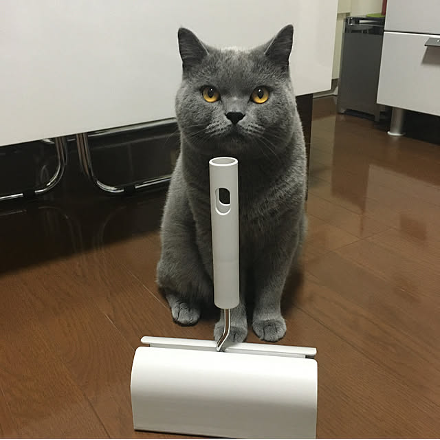 kittyさんの実例写真