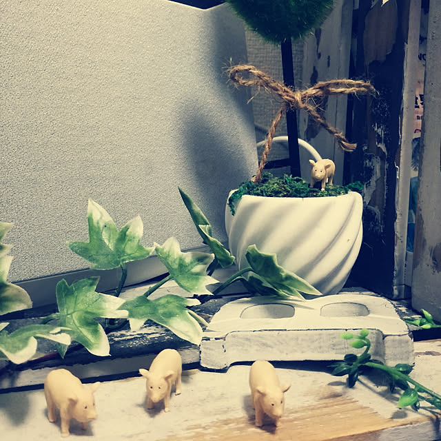 Akaneさんの実例写真