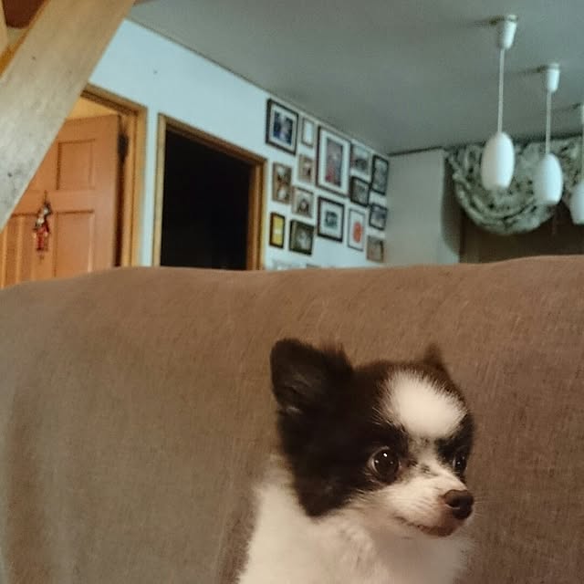 maroさんの実例写真