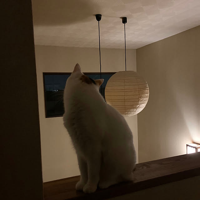 Maririnさんの実例写真