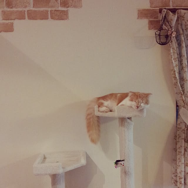 yuさんの実例写真