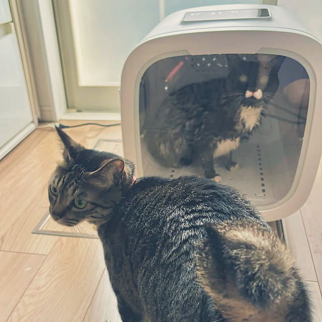masamasaさんの部屋