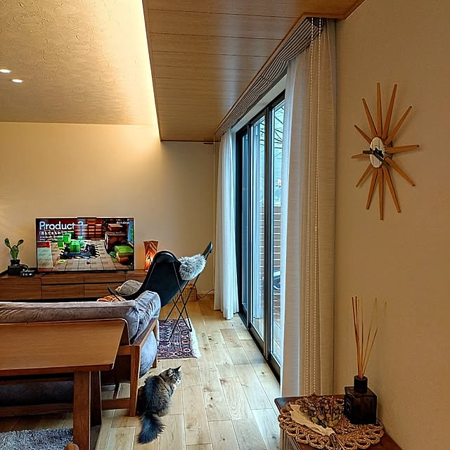 hagyu7kuroさんの部屋