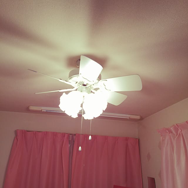 Mikaさんの実例写真