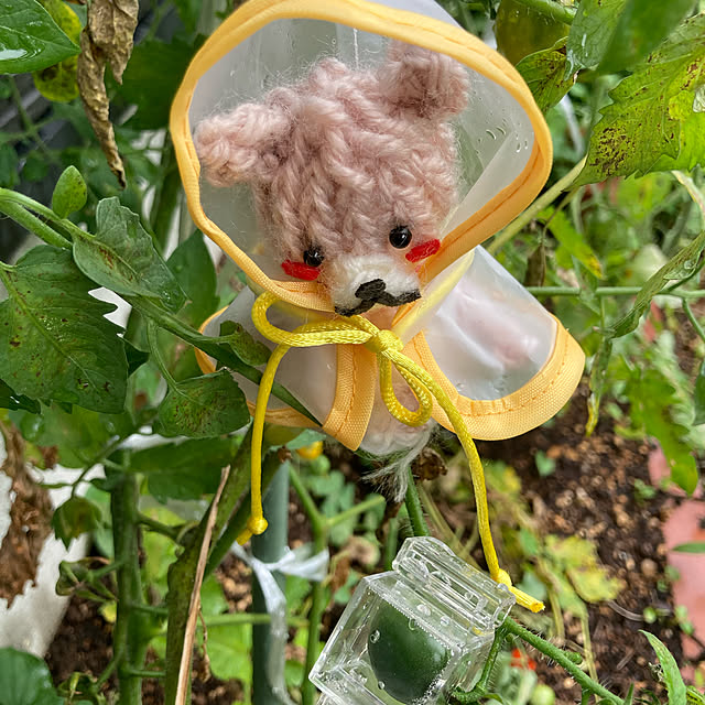 manduonmaさんの実例写真