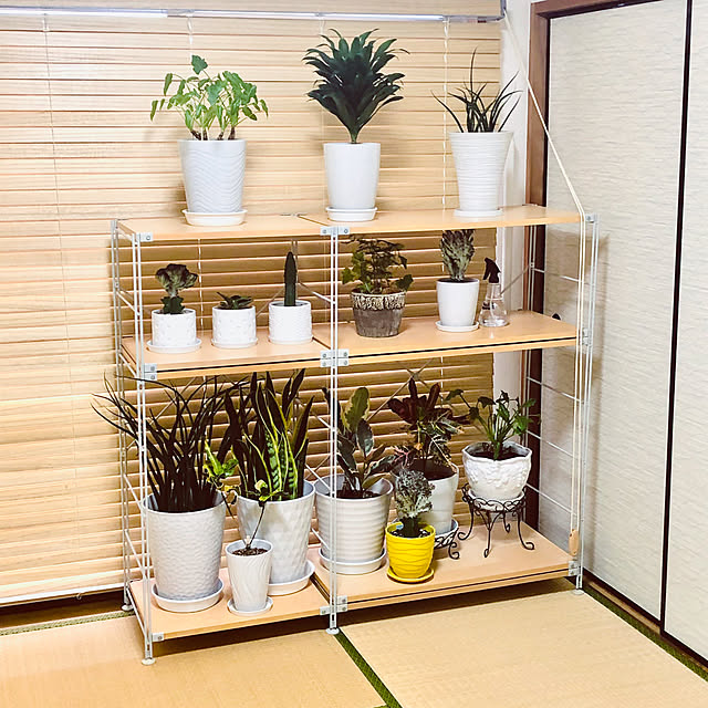 hanachanさんの部屋