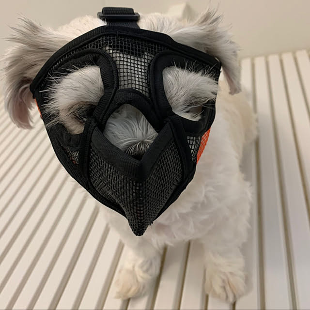 emiさんの実例写真