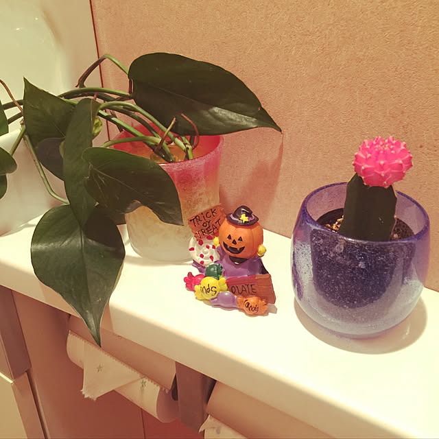 Chiemiさんの実例写真