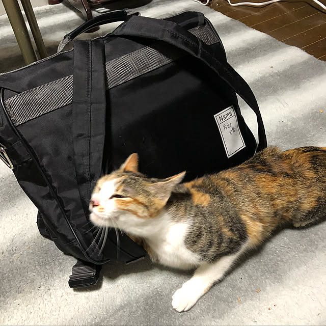vivienne.coco-keiさんの実例写真