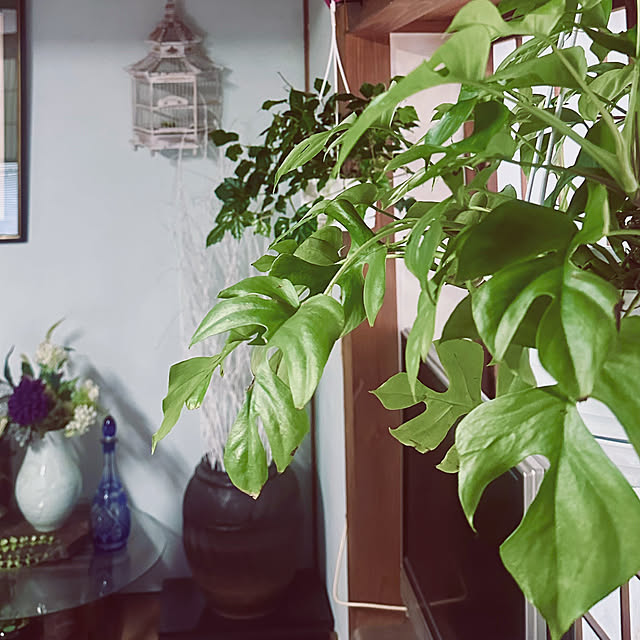 chacoさんの部屋