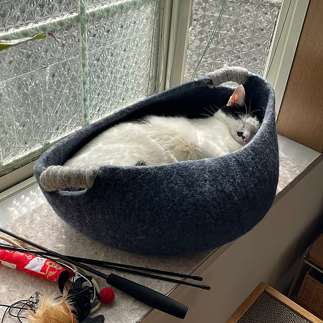 nobikoさんの部屋