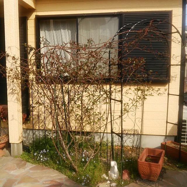 tomopさんの実例写真