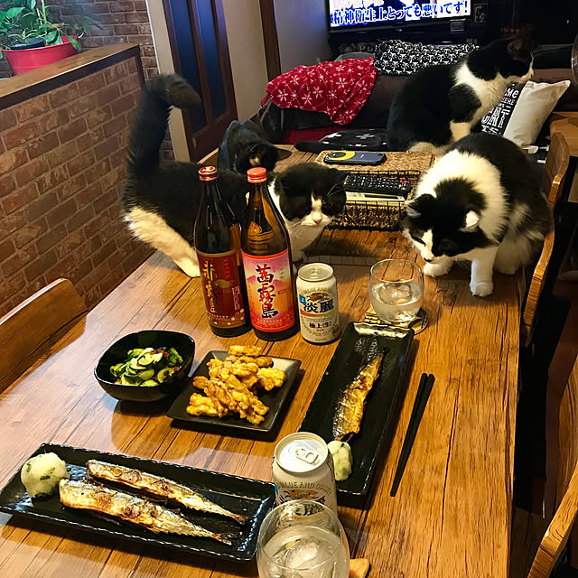 butachanさんの実例写真