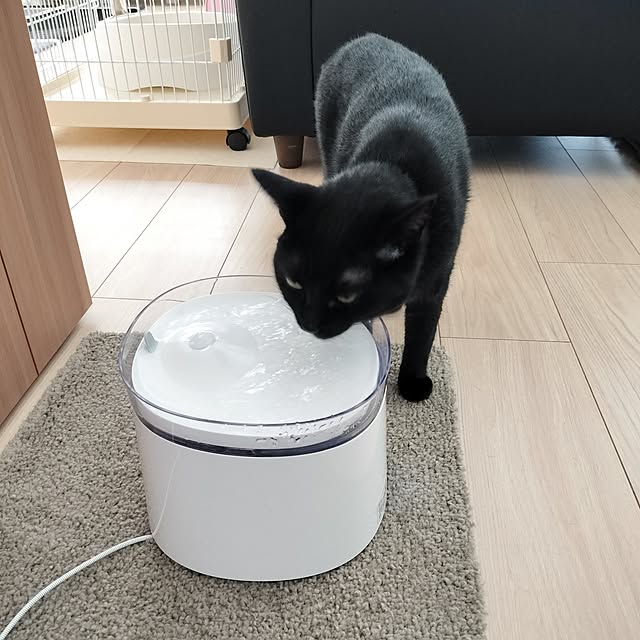 sakuraさんの実例写真